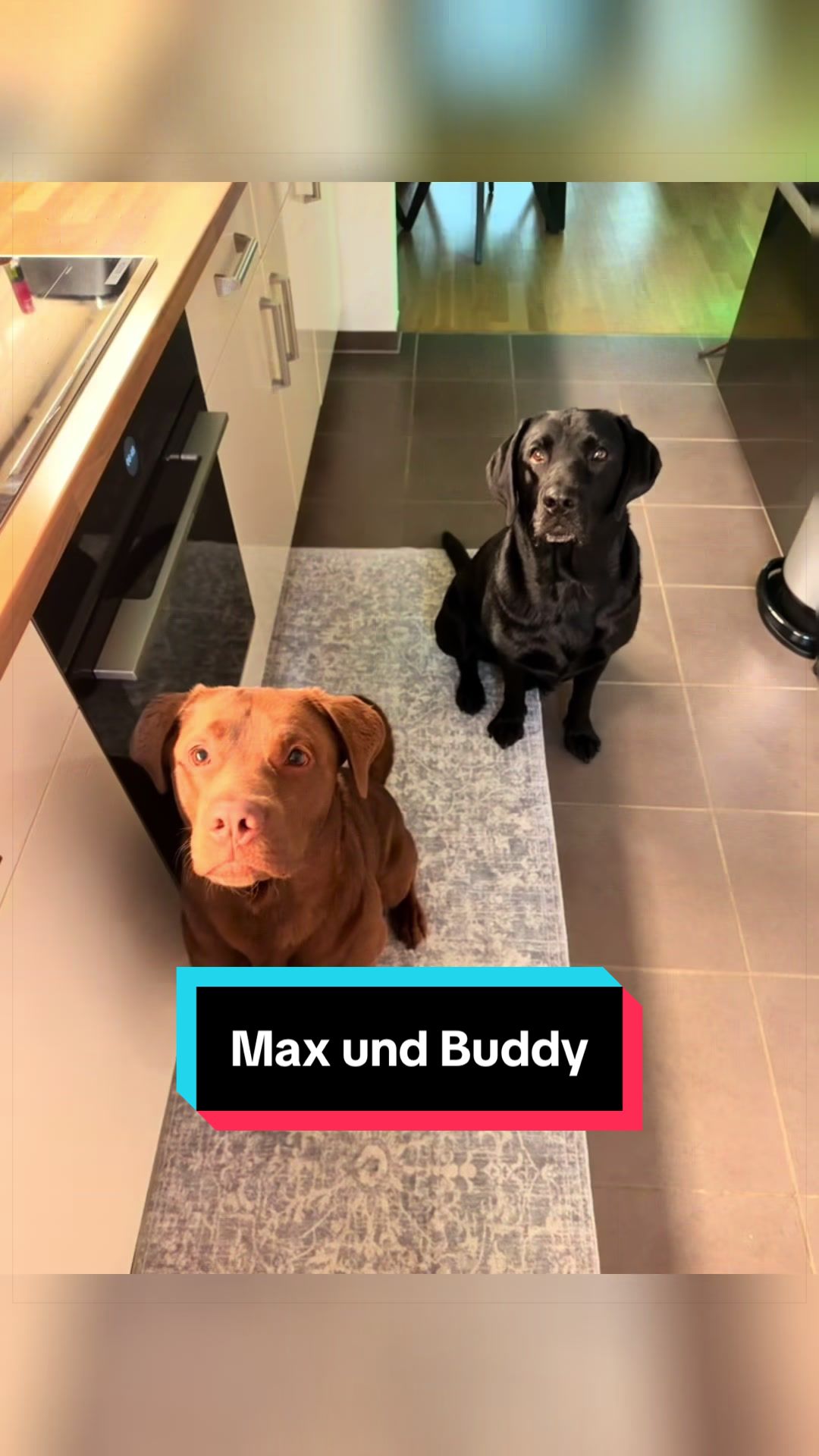 @Buddy