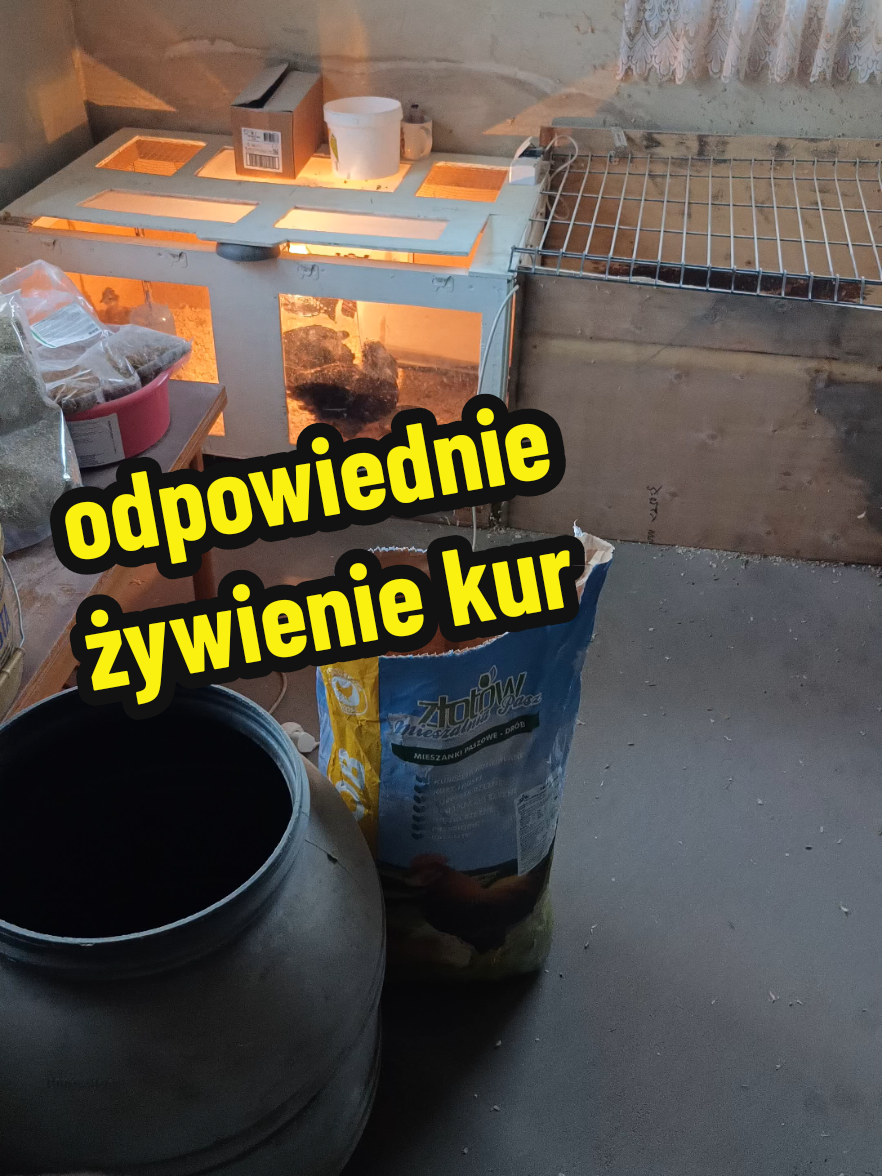 @Marcin ogrodnik