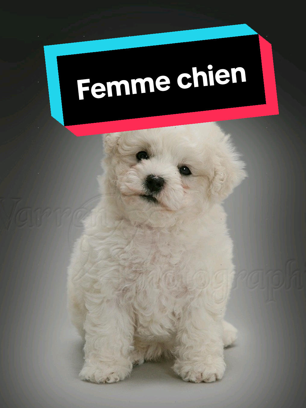@Ch'tite Gwenn