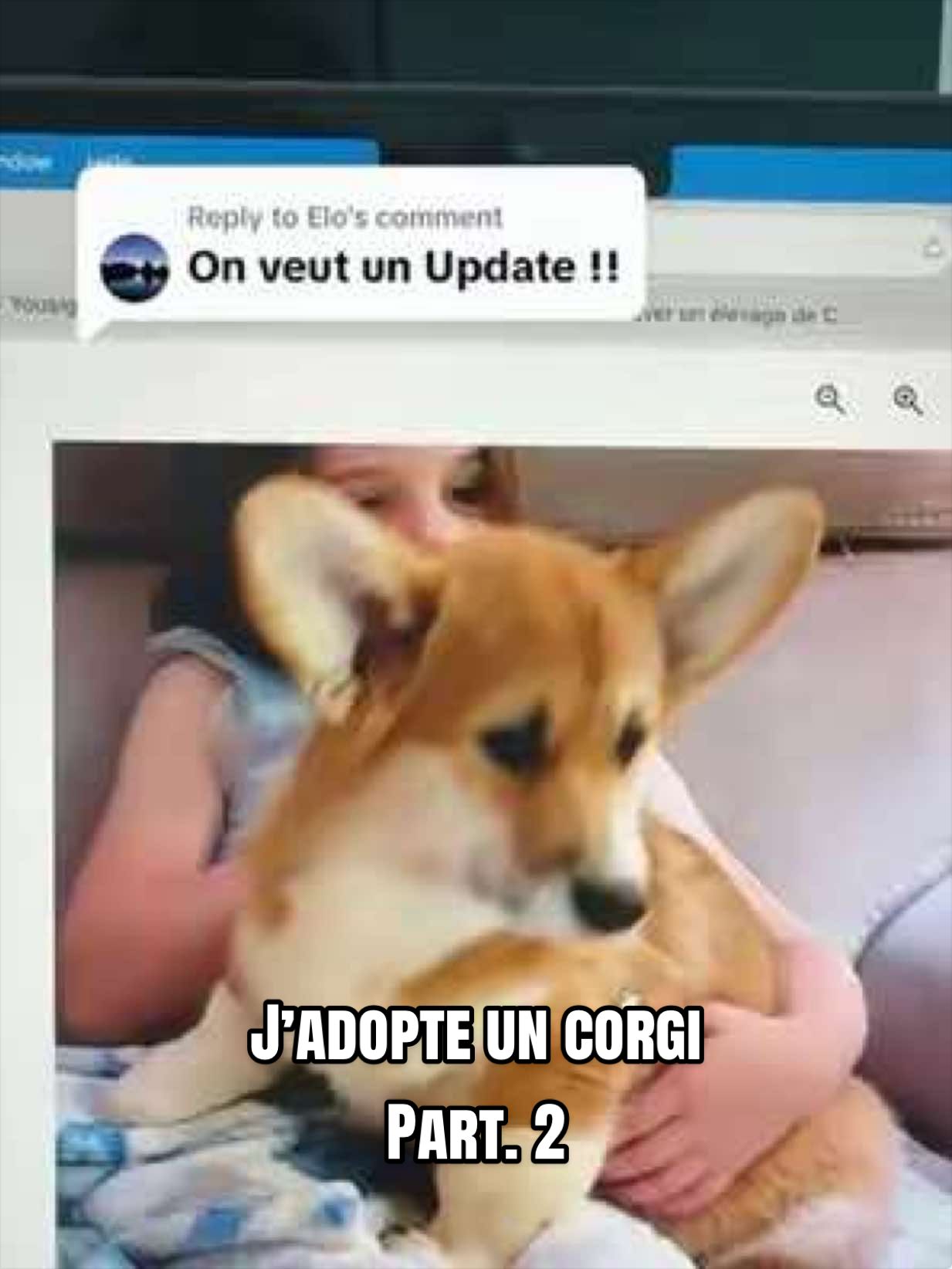 @Yaroush