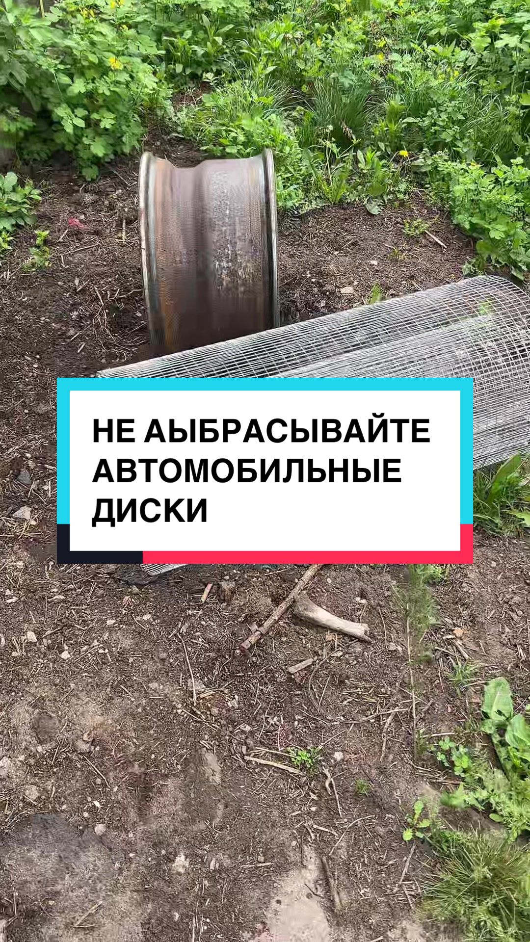 @laifhak_mozgi