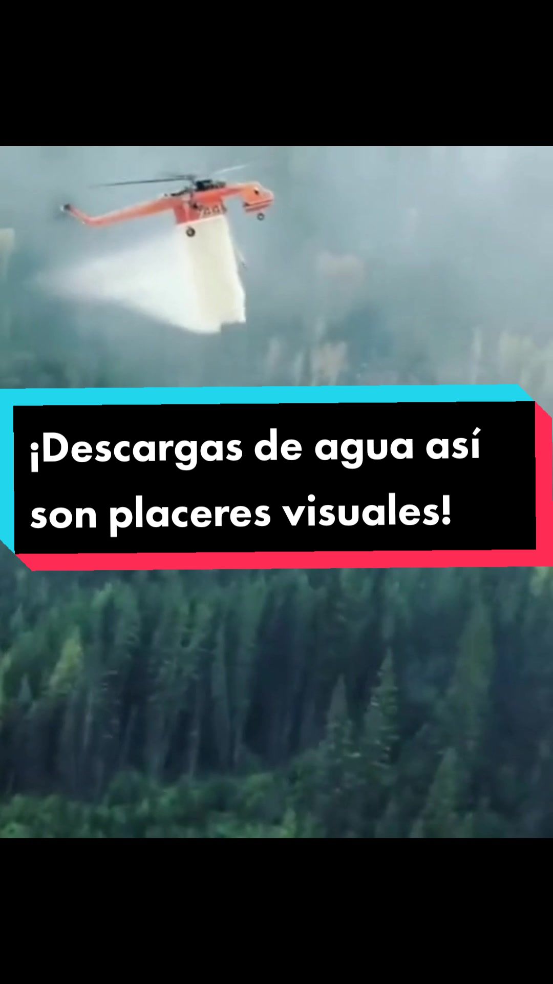 @Bombero Forestal