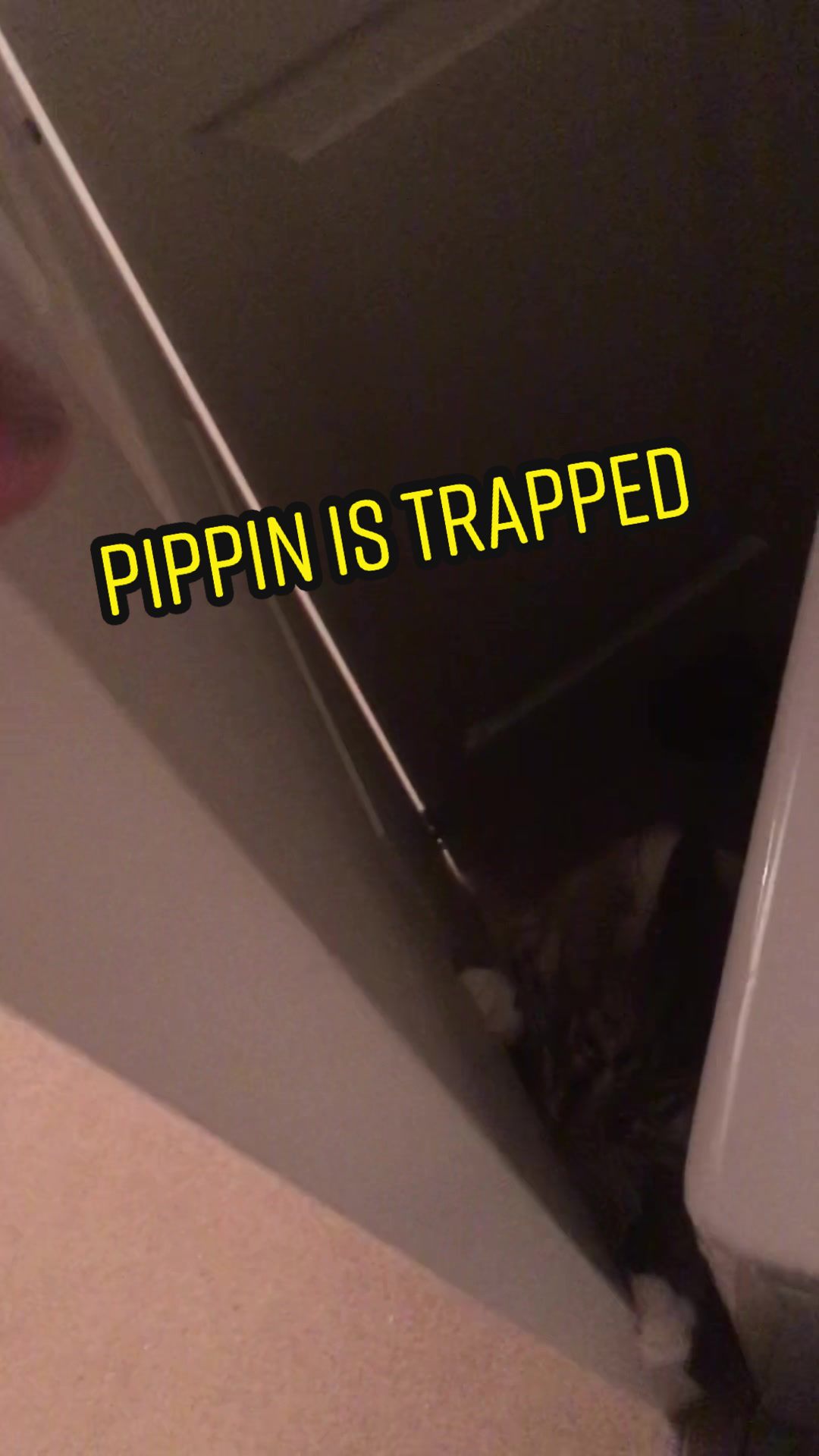 @Ayla