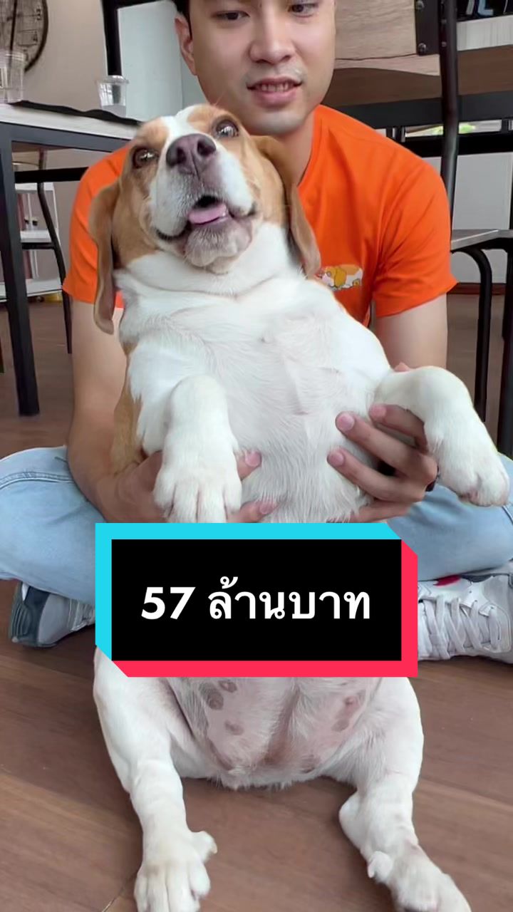 @BigMootoo