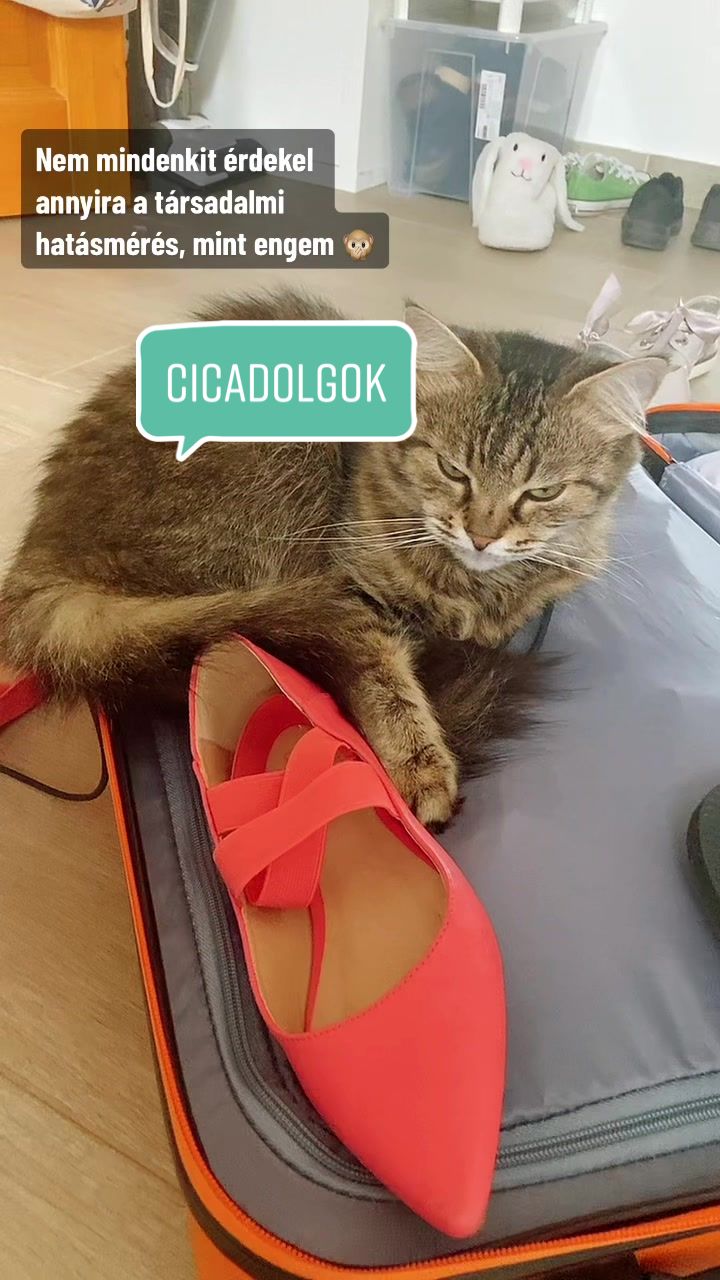 @Enprojekt.hu | CEOPetra