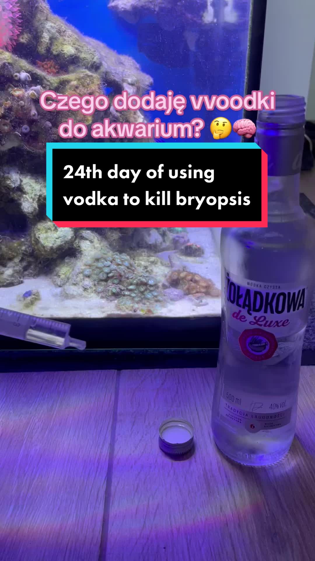 @Aquarista