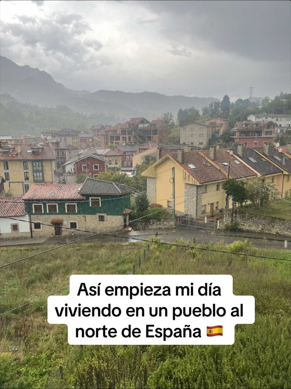 @Hello mi 🐴 potra