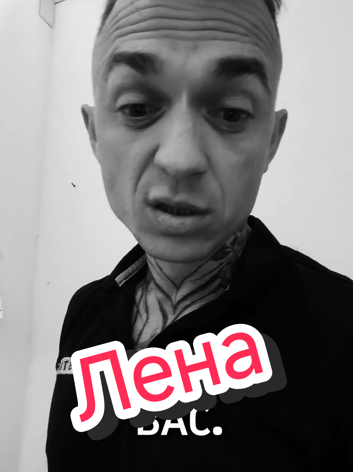 @Dima King Tiktok