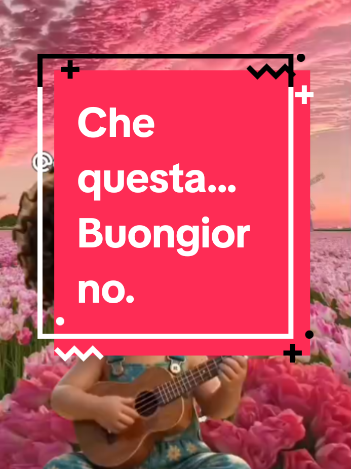 @Angy(✷‿✷)