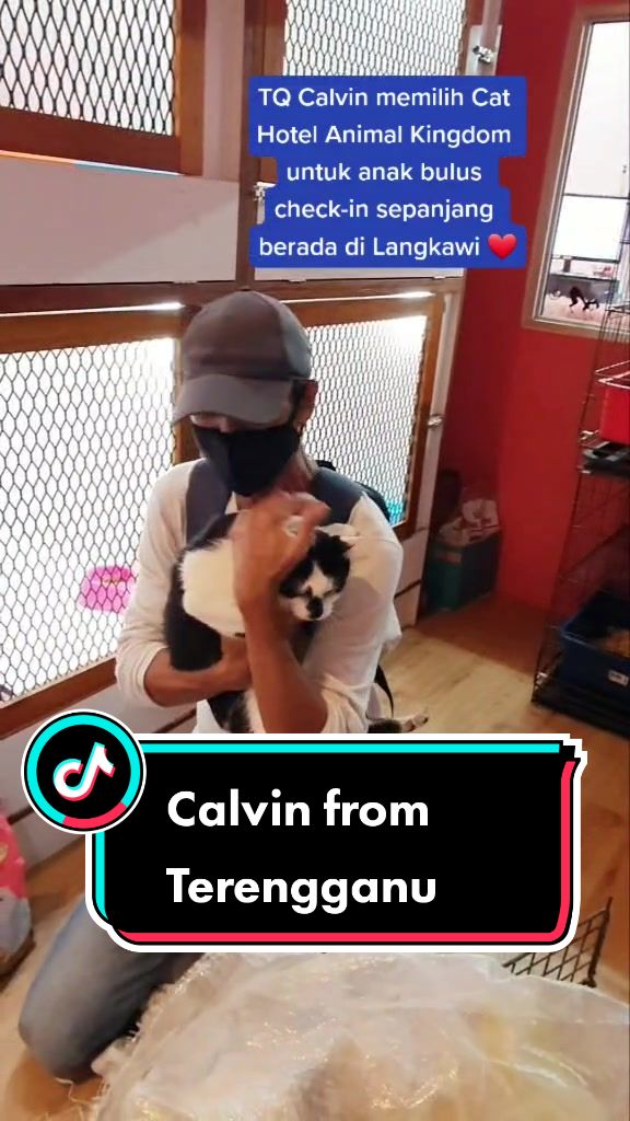 @ANImalKingdom 🐈&zwj;⬛