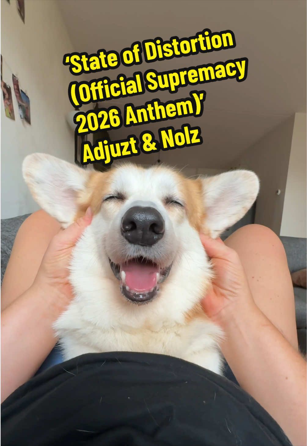 @Kickroll Corgi Charlie 🐶🚀