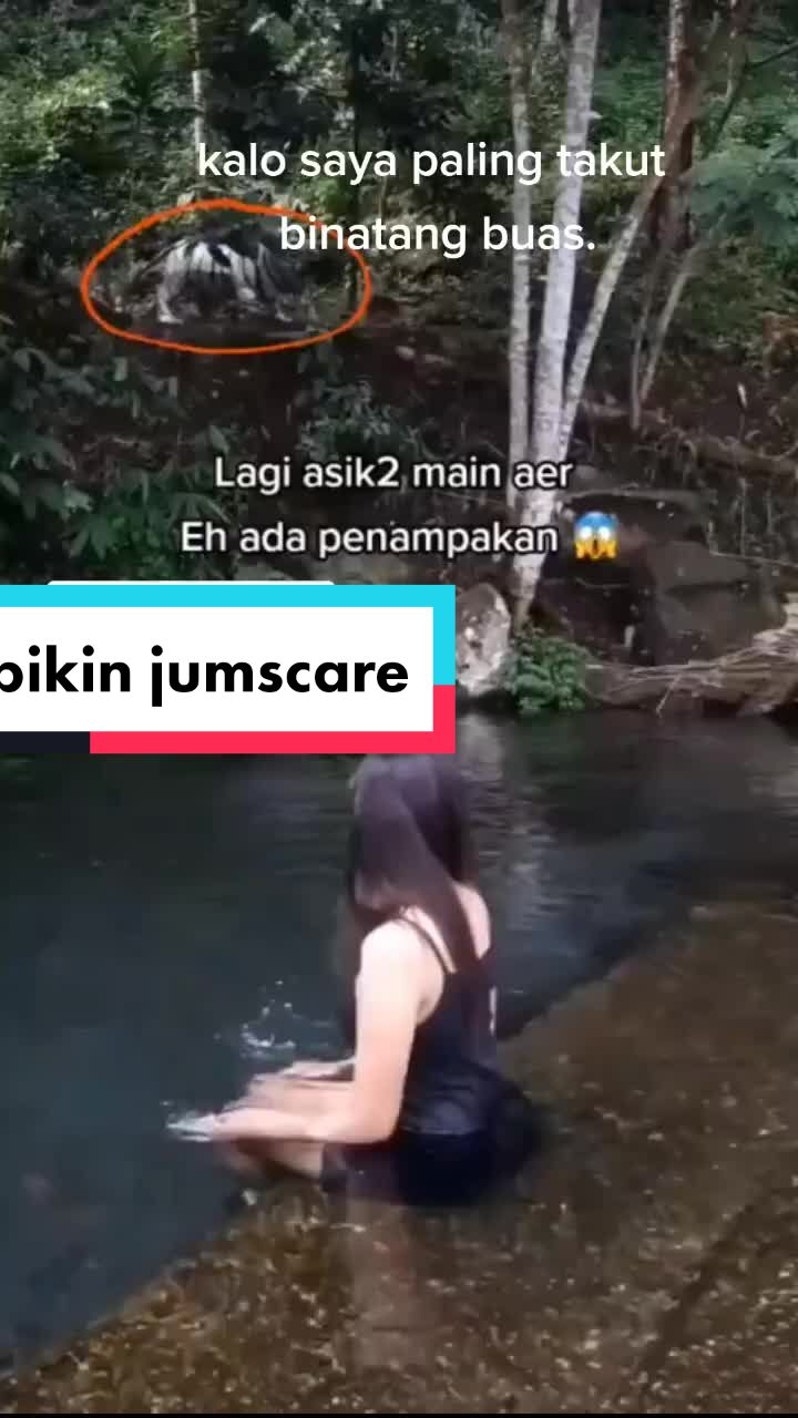 @santpecis