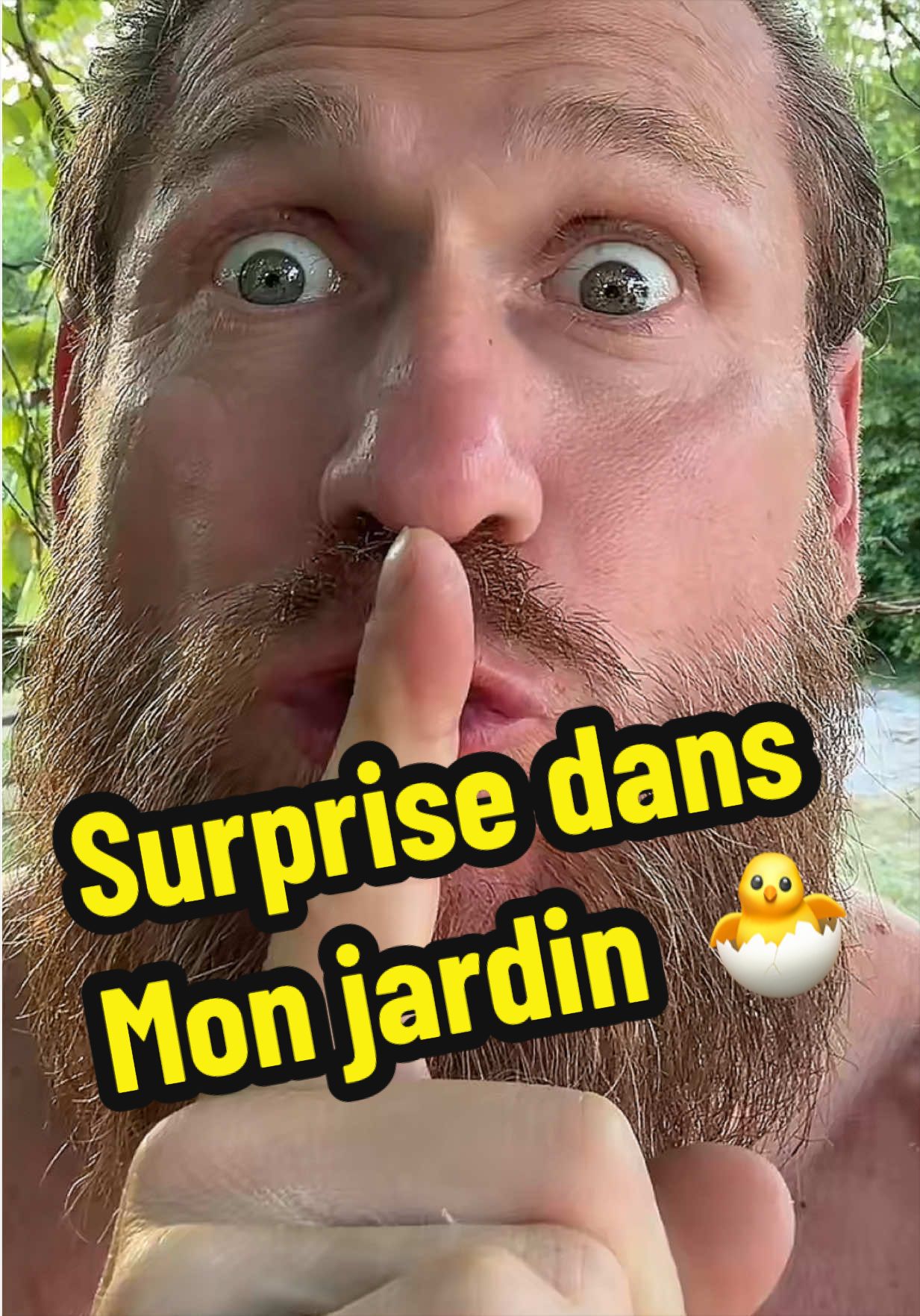 @Vikingfrenchy