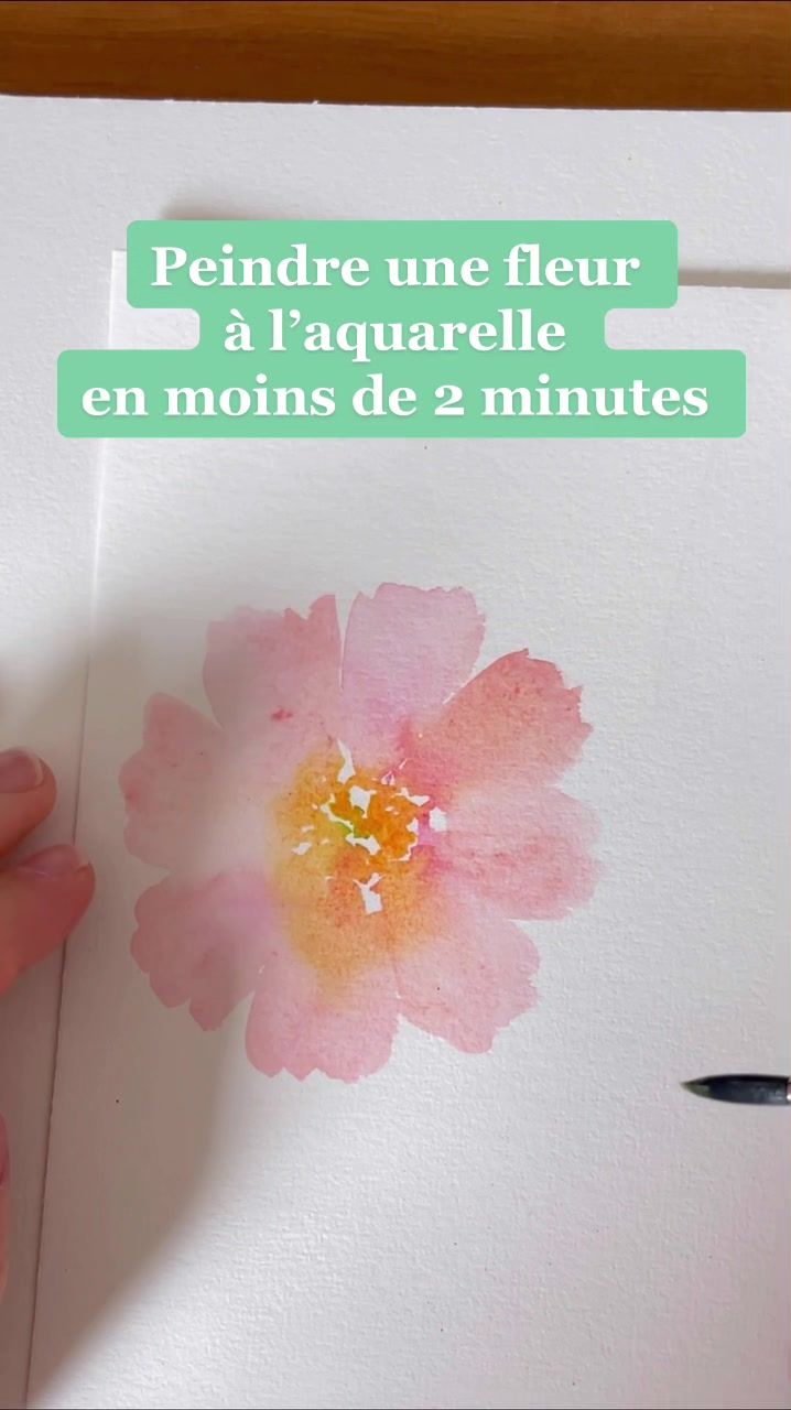 @Bonjourcouleurs
