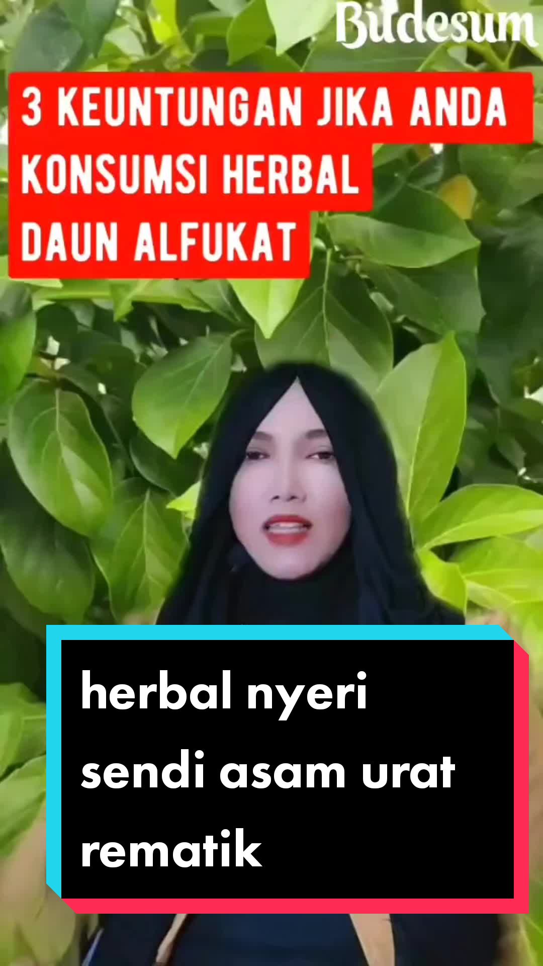 @budesum