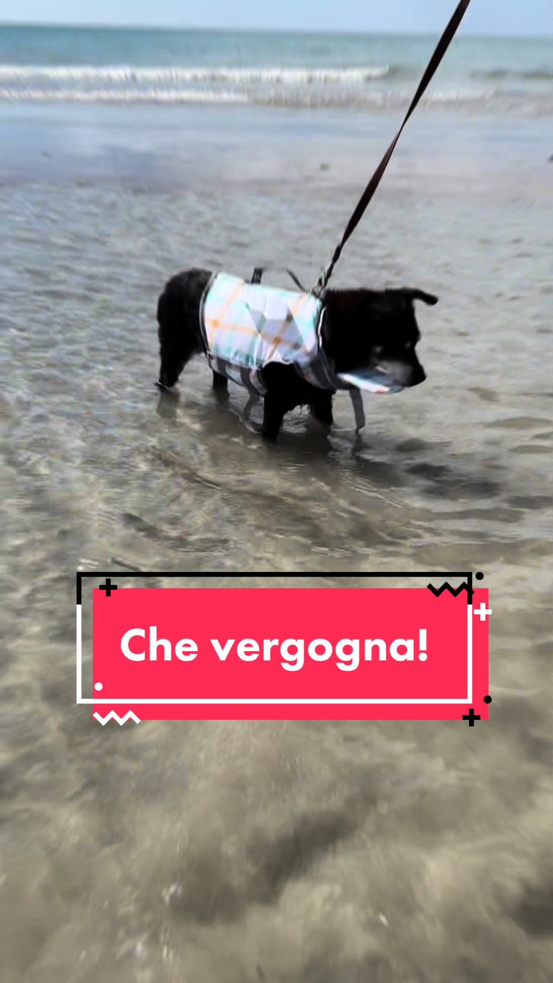 @Giacomina, la vecchia!!