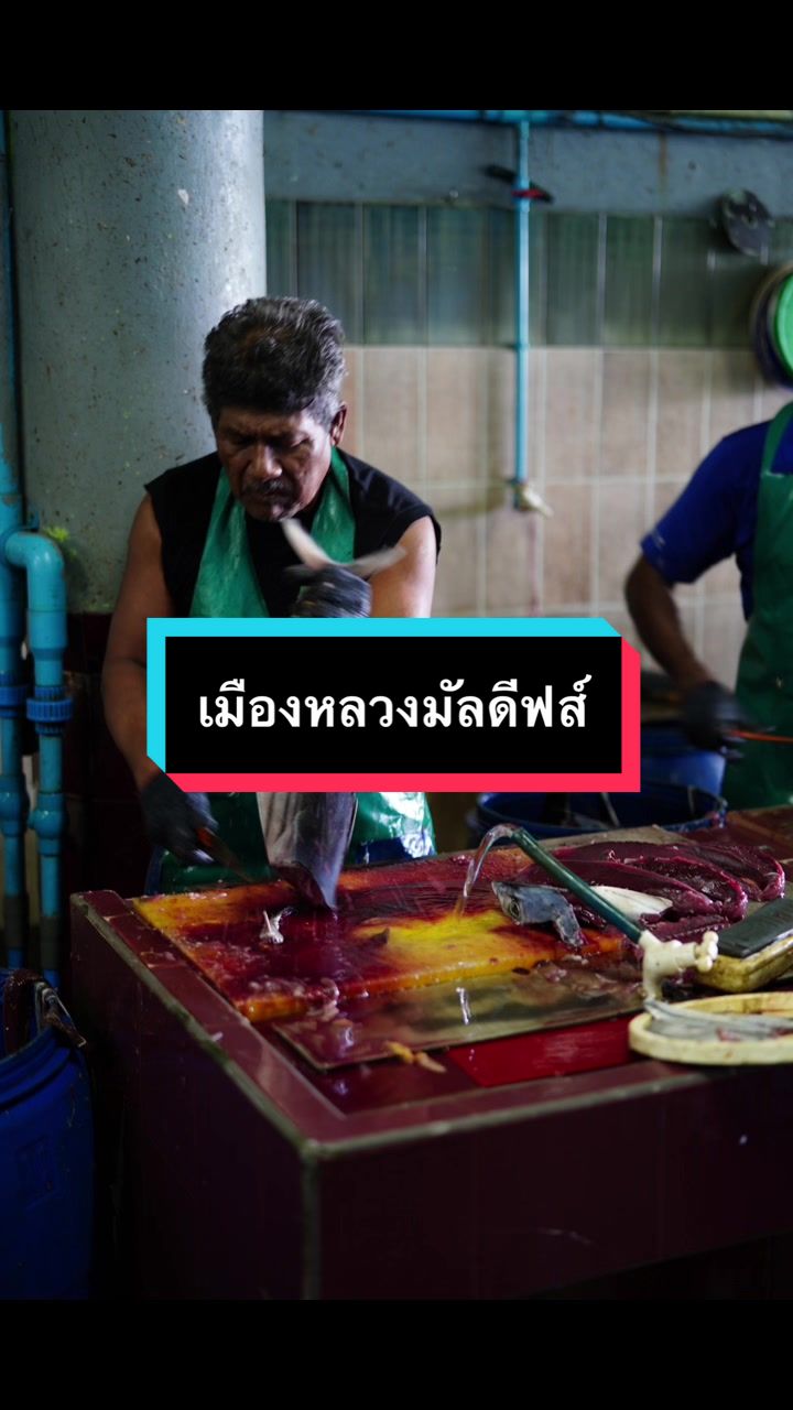 @แพตทริเซีย
