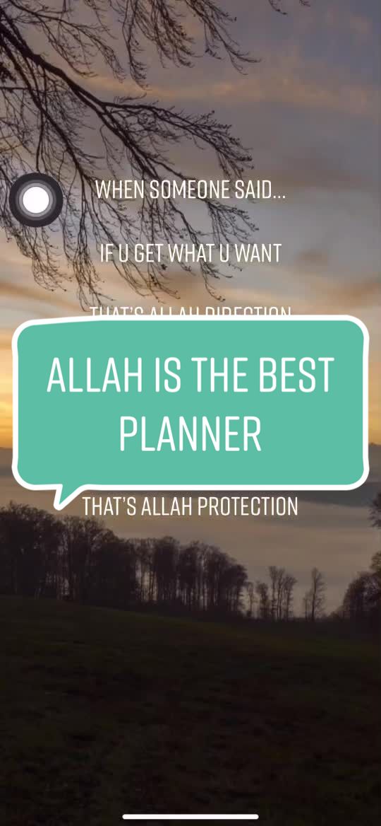 @Shila Hashim