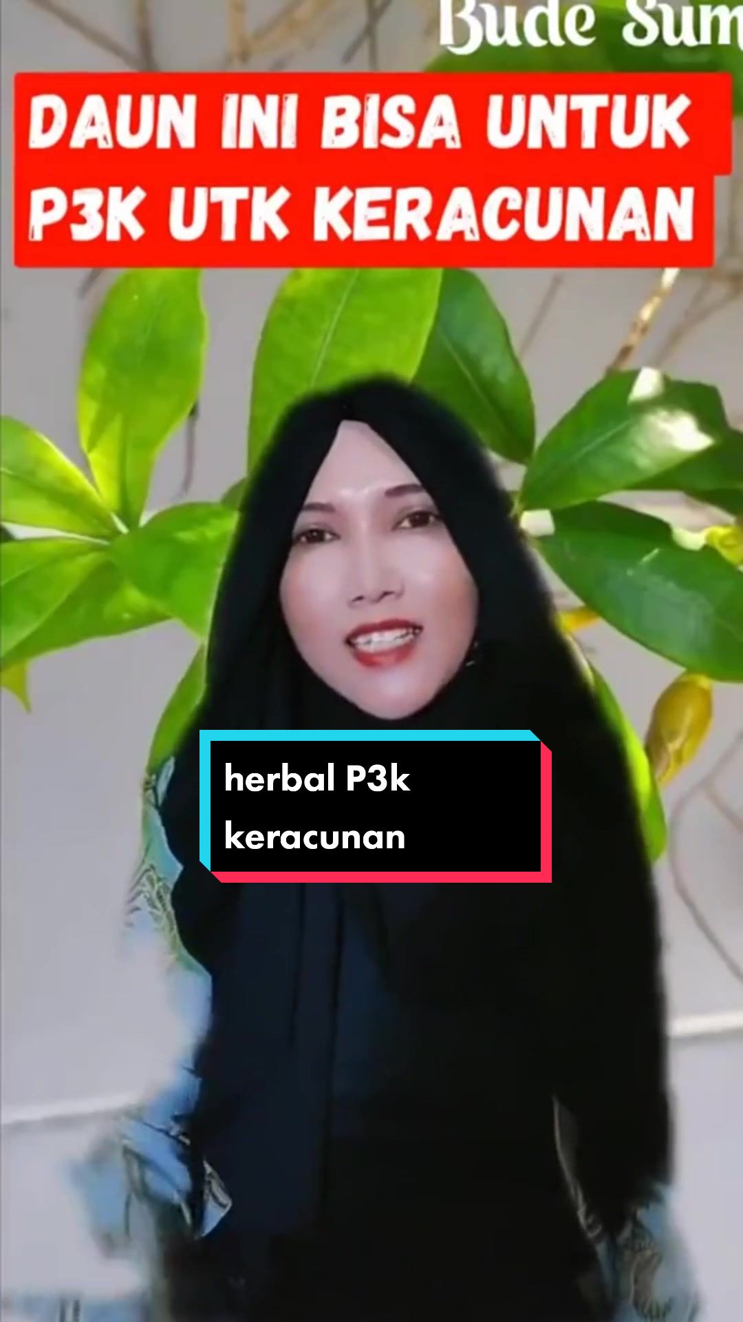 @budesum