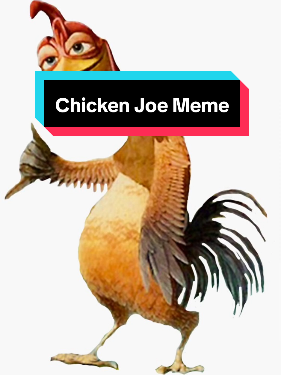 @User__()