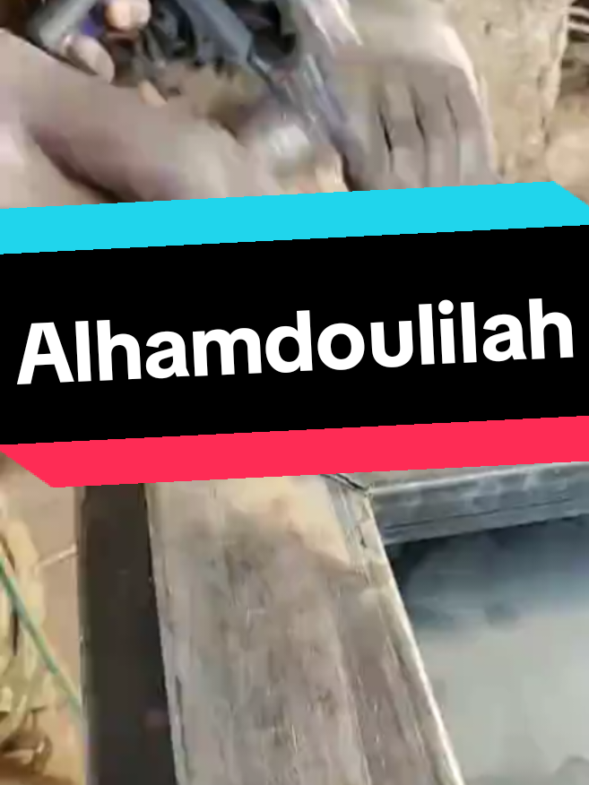 @mamesaliu