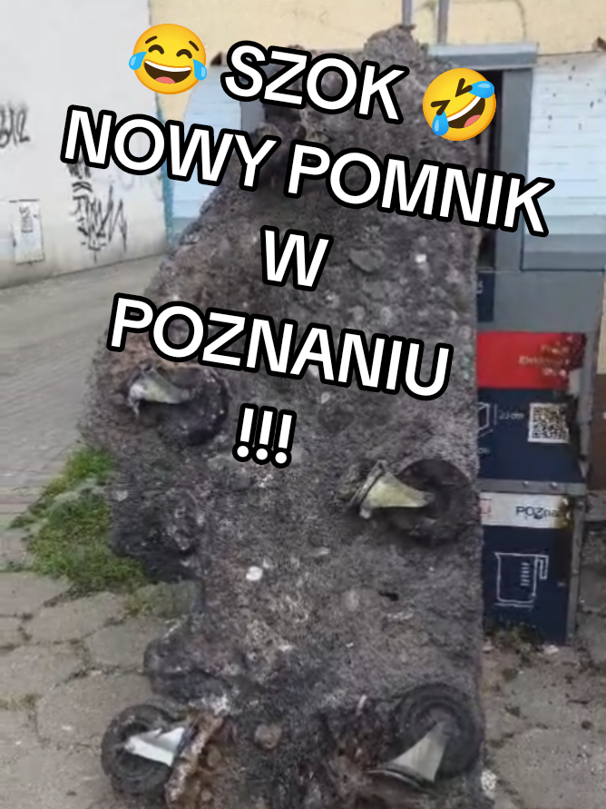 @wigoserwistv
