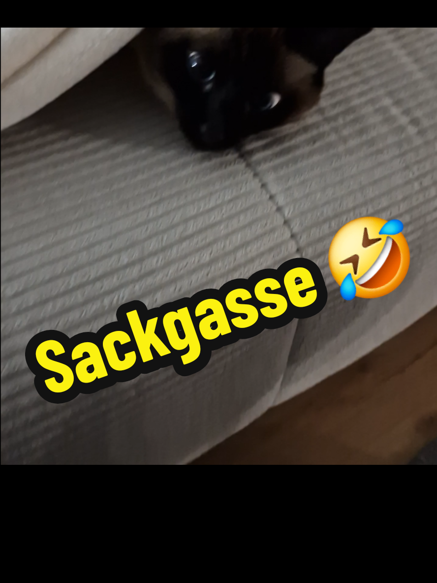 @gp