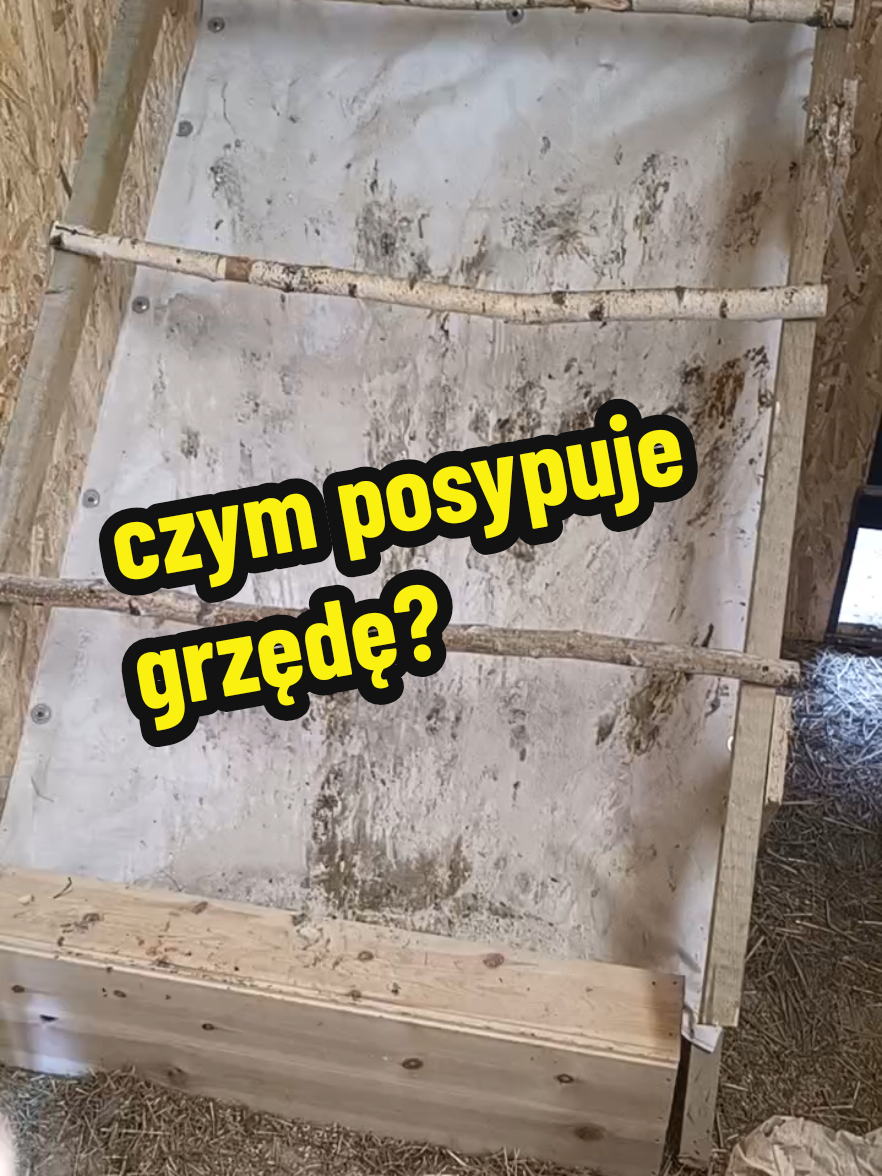 @Marcin ogrodnik