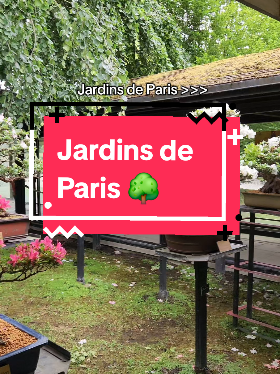 @Paris Explorer