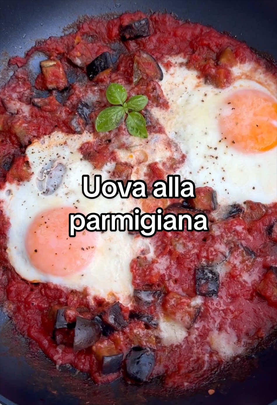 @MoltoFood