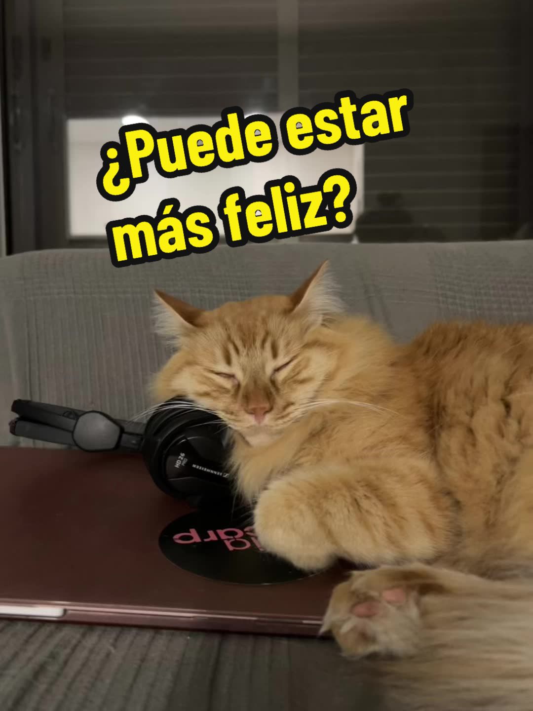 @nuriascarp_music