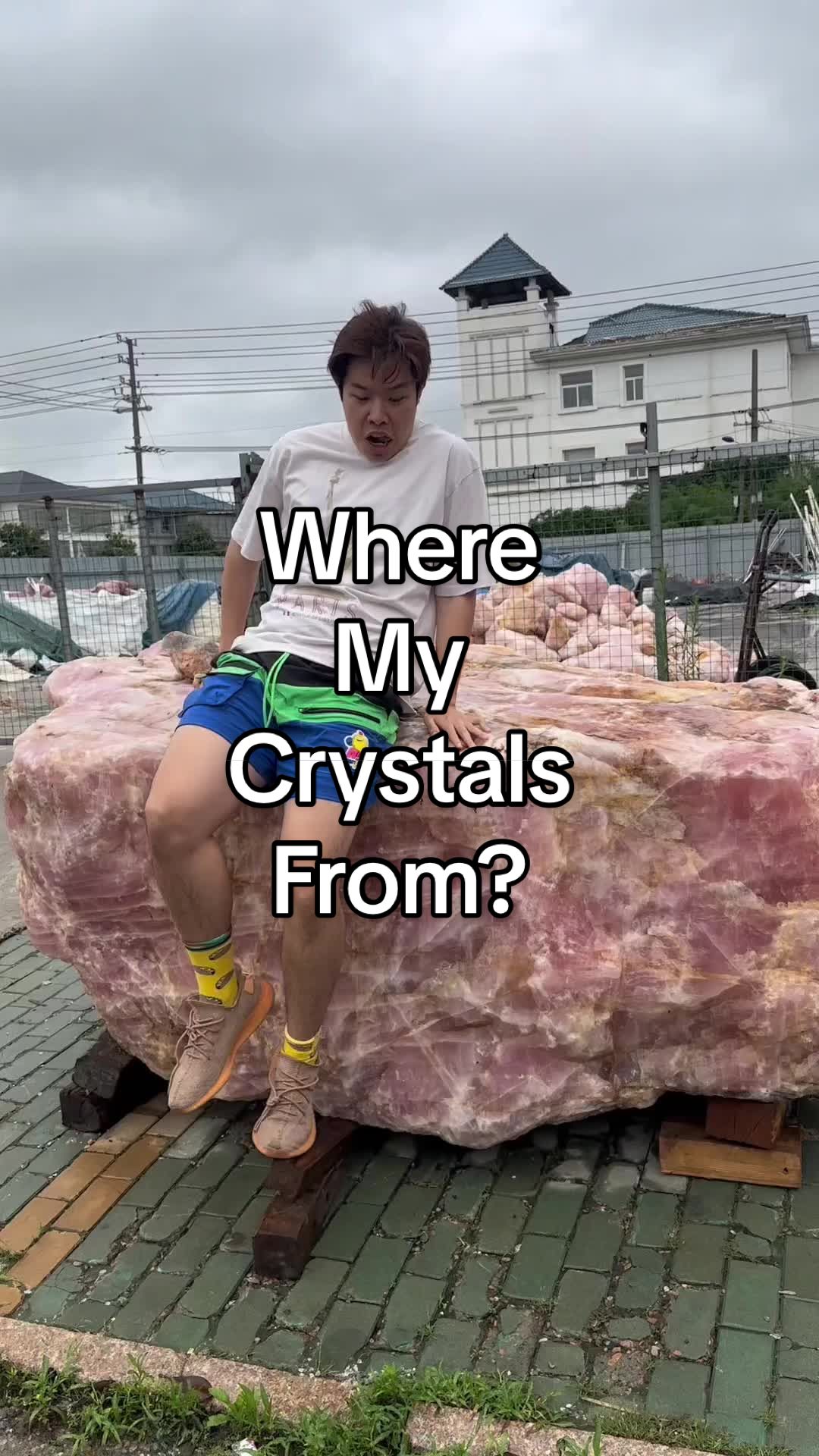 @wholesaler_mike