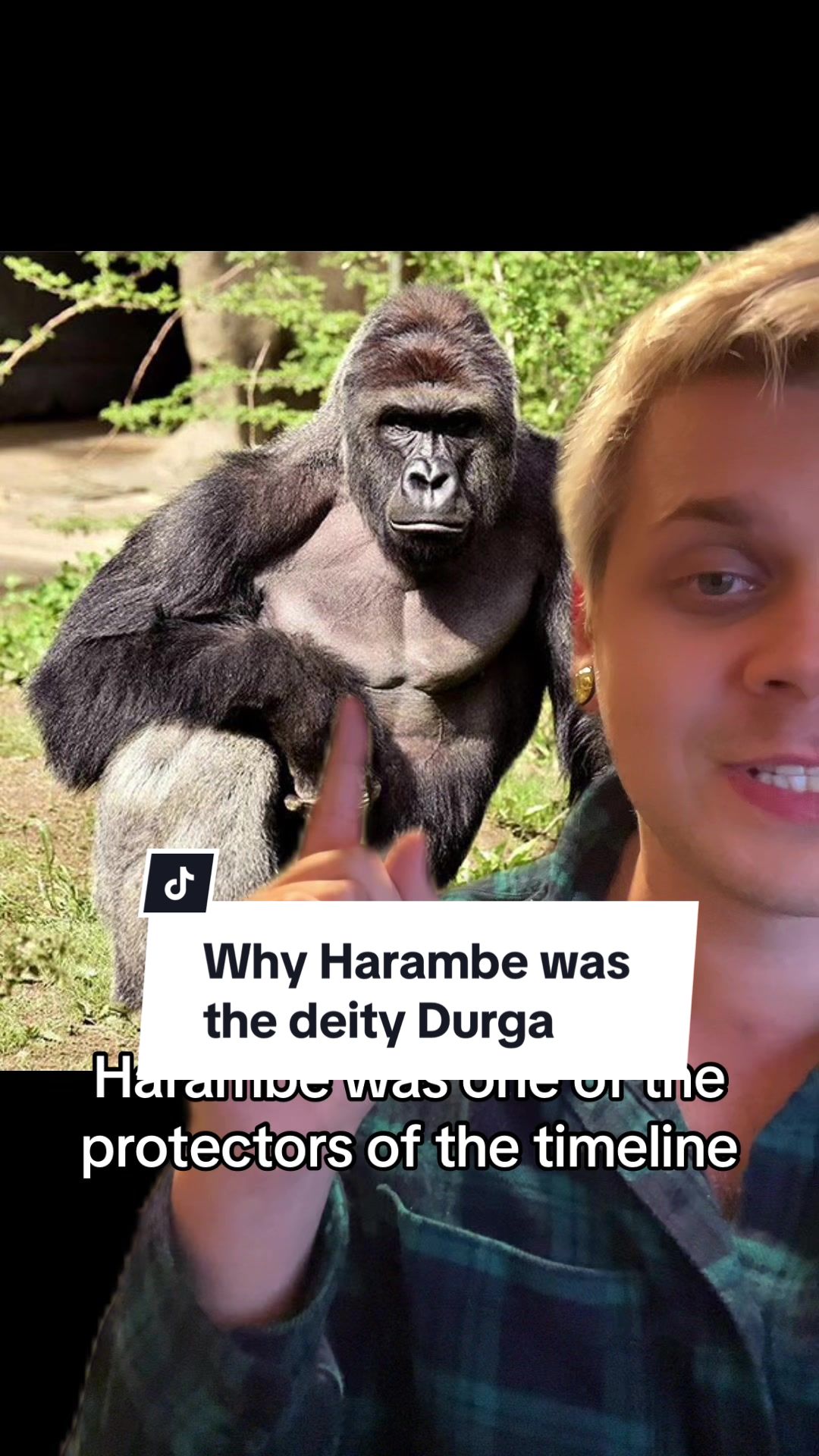 @Alex Dante