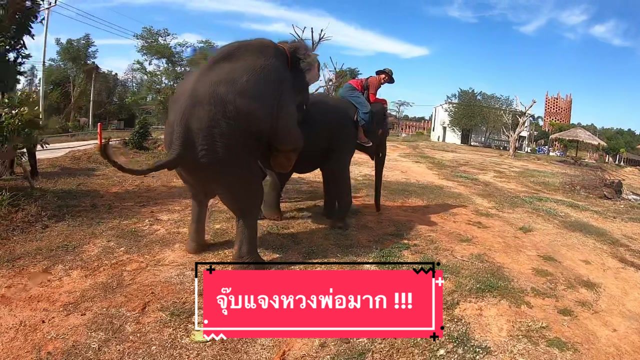 @Jubjang Family จุ๊บแจงแฟมิลี่