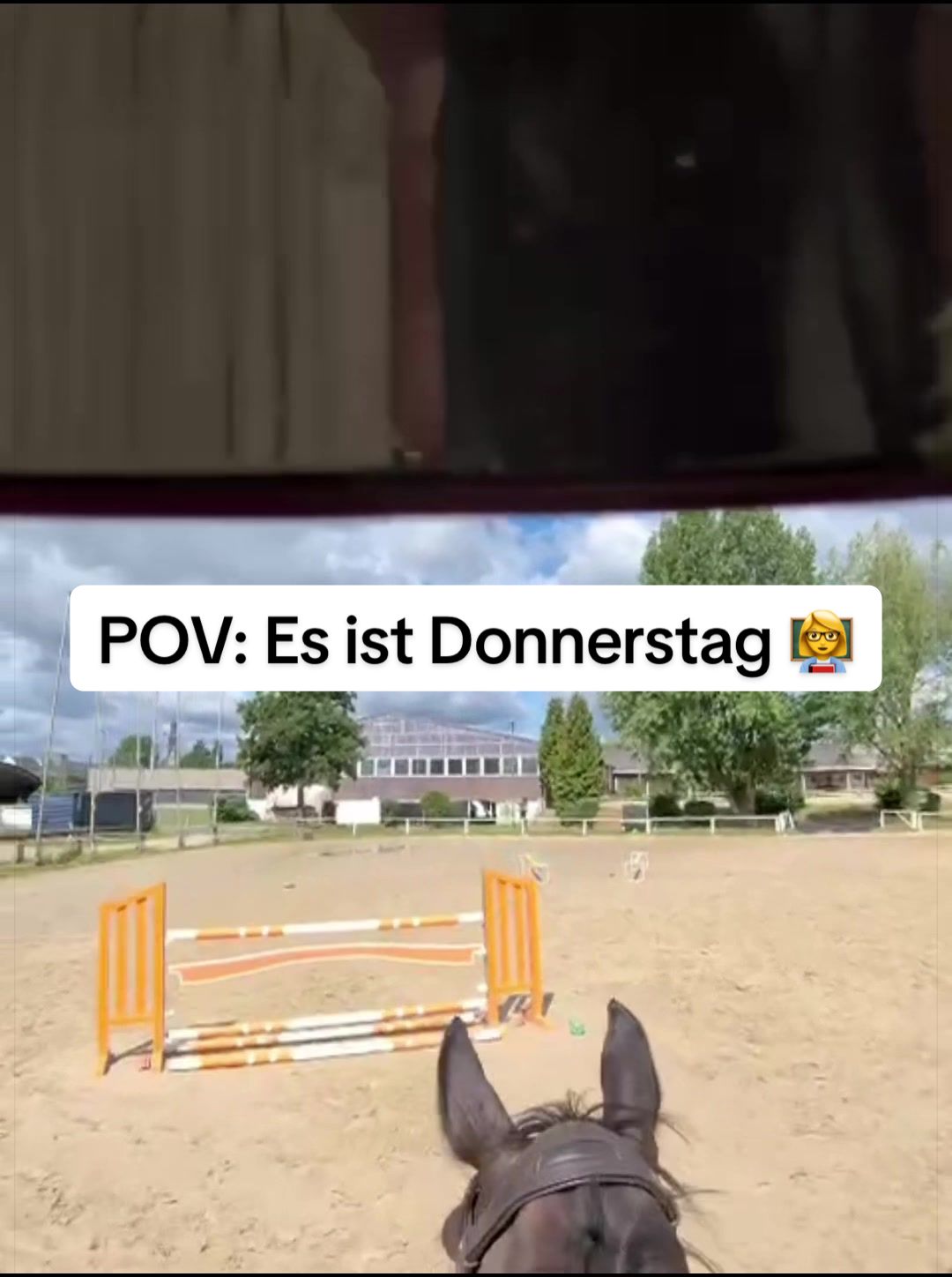 @lam.showjumping