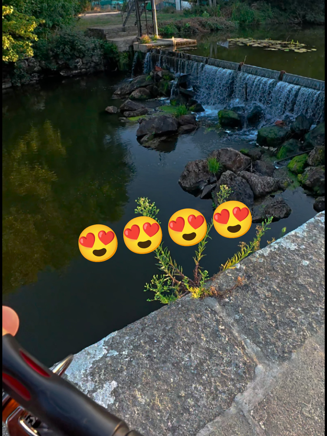 @🔥 ℙ𝔸ℙ𝔸𝕀𝕃𝕃𝔼 🔥