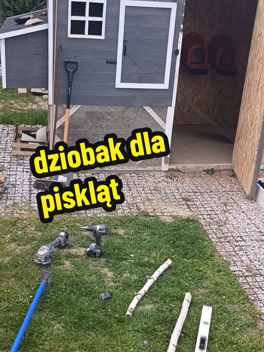 @Marcin ogrodnik