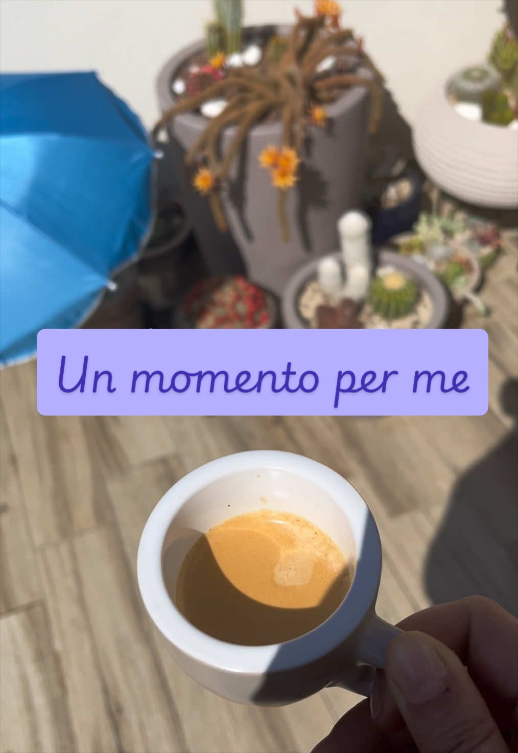 @piccole.spine.felici
