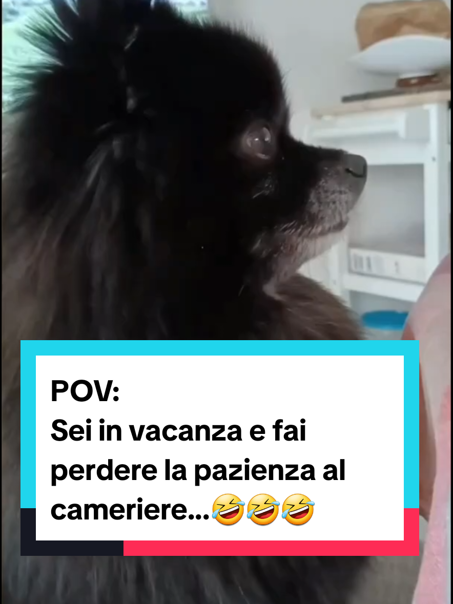 @Rita Tartaria