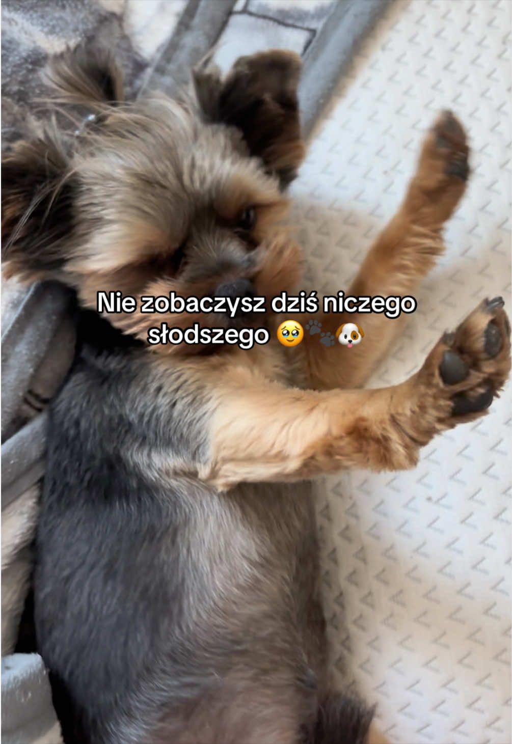 @Miedzy_chwilami ♡