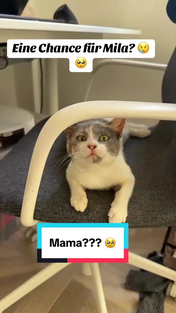 @BluePanther💙