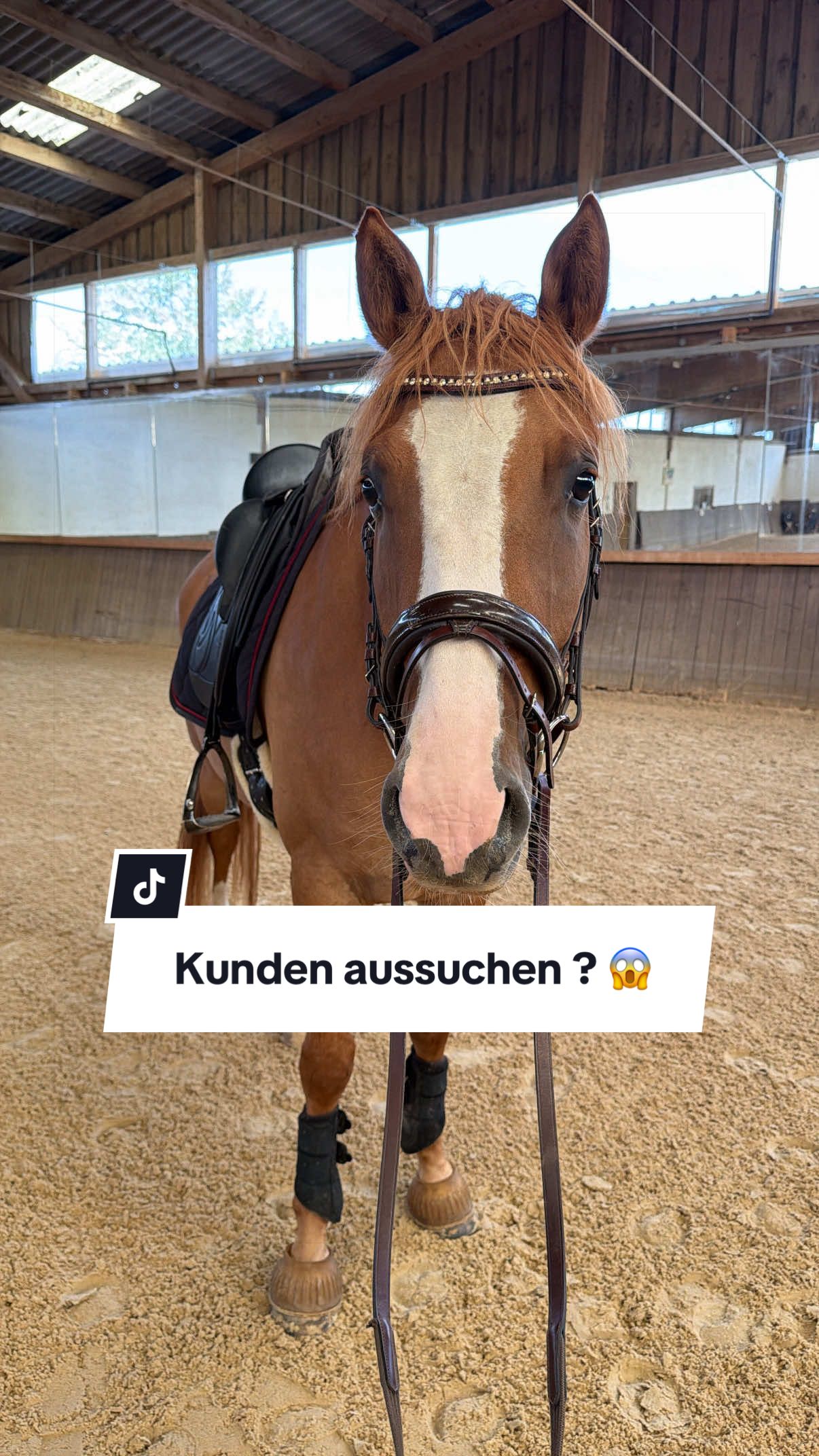 @Sophia • SL Reitschule