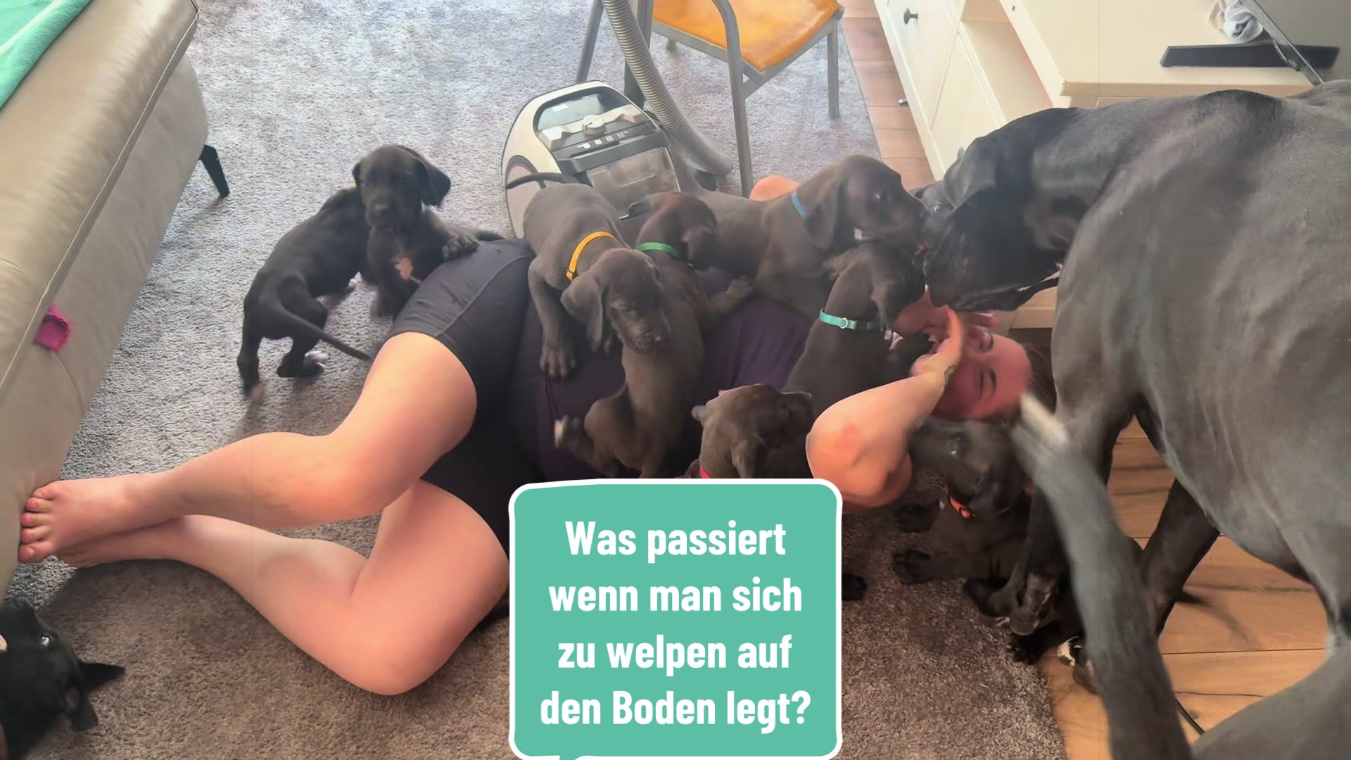 @Doggen von Lucaelis
