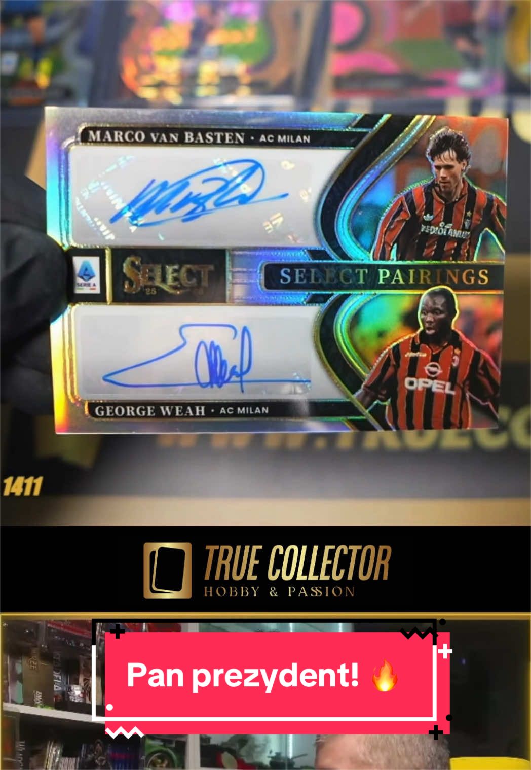 @True Collector Shoty