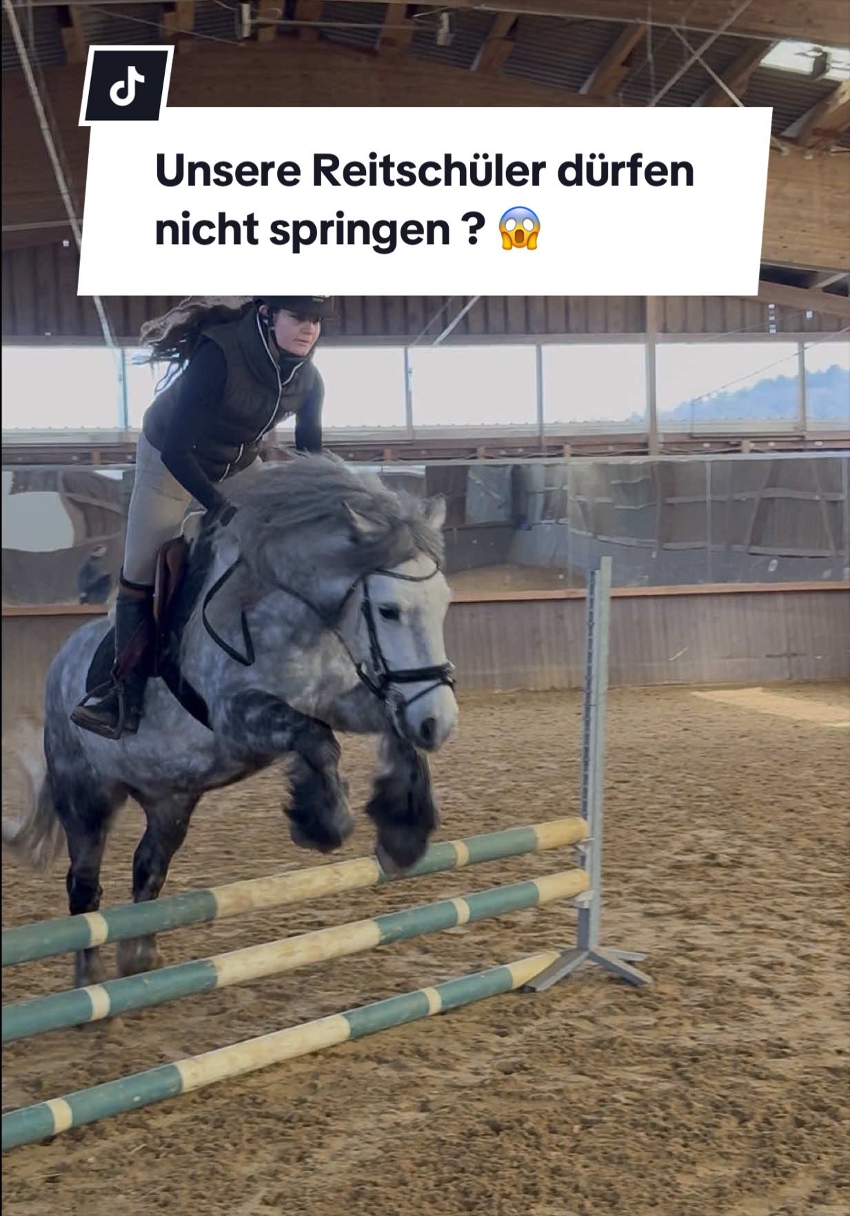 @Sophia • SL Reitschule