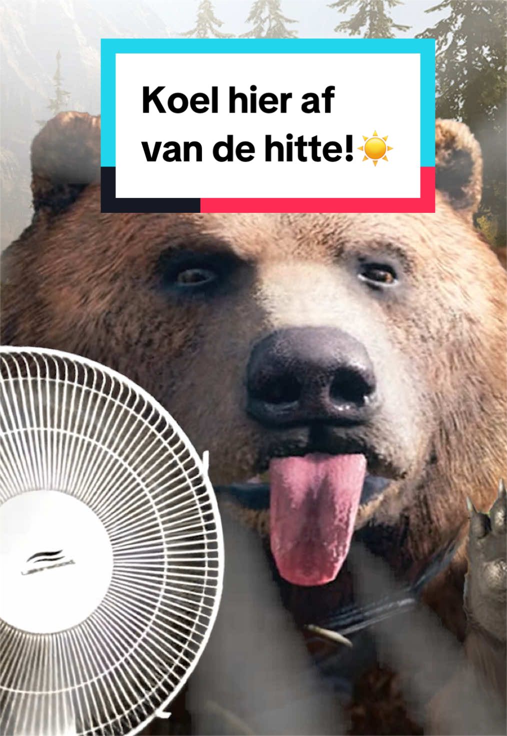 @Ubisoft Benelux