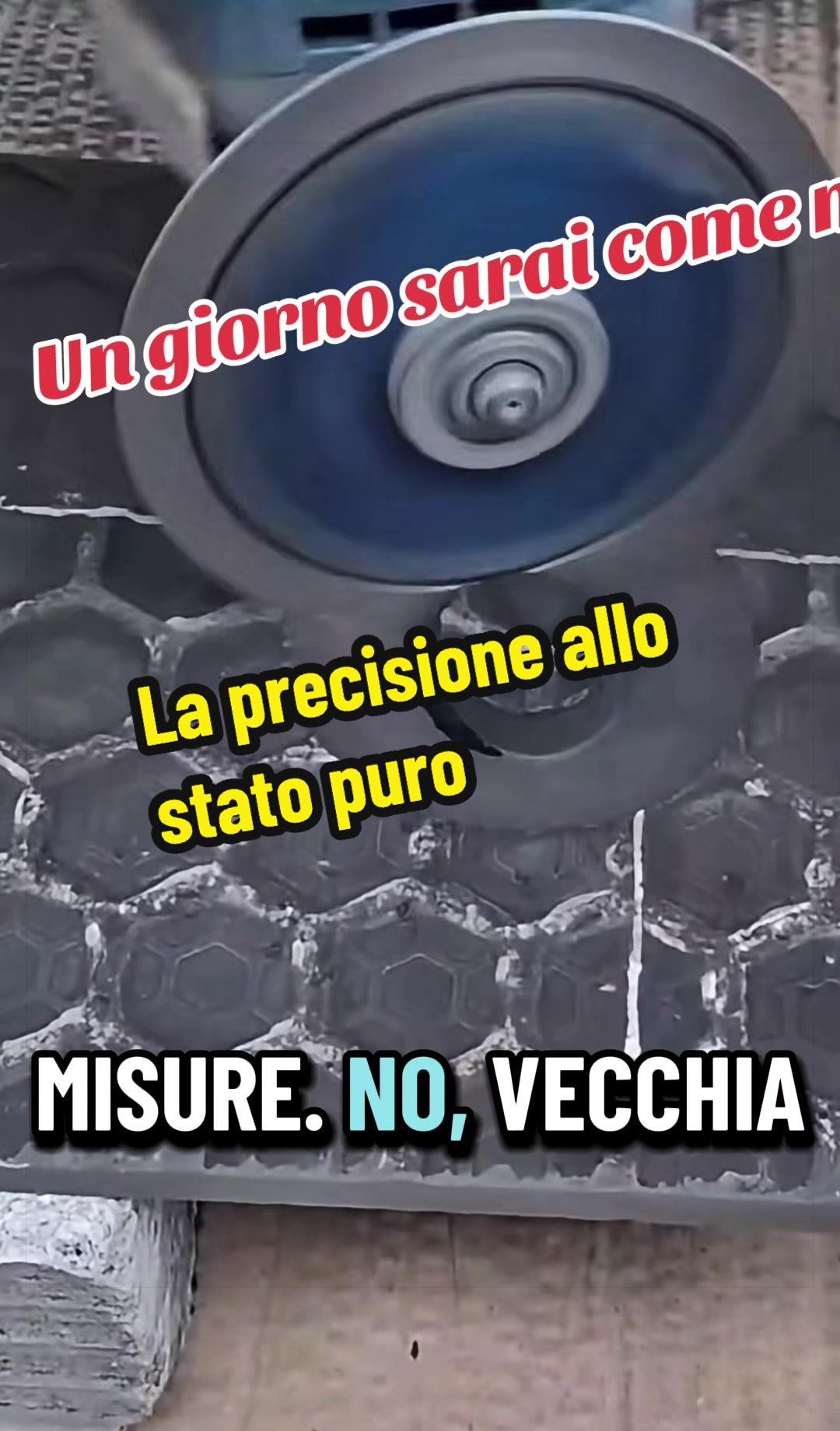 @Alessandro Cuomo ♌️