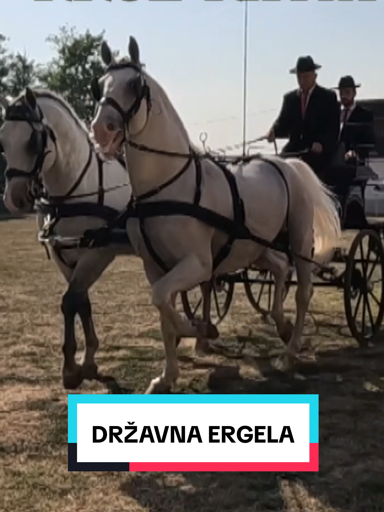 @Slavonska Televizija