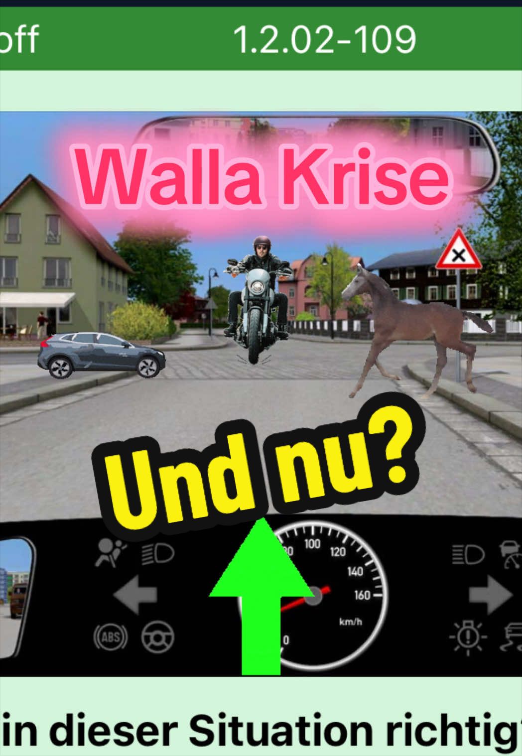 @Verkehrsguru®