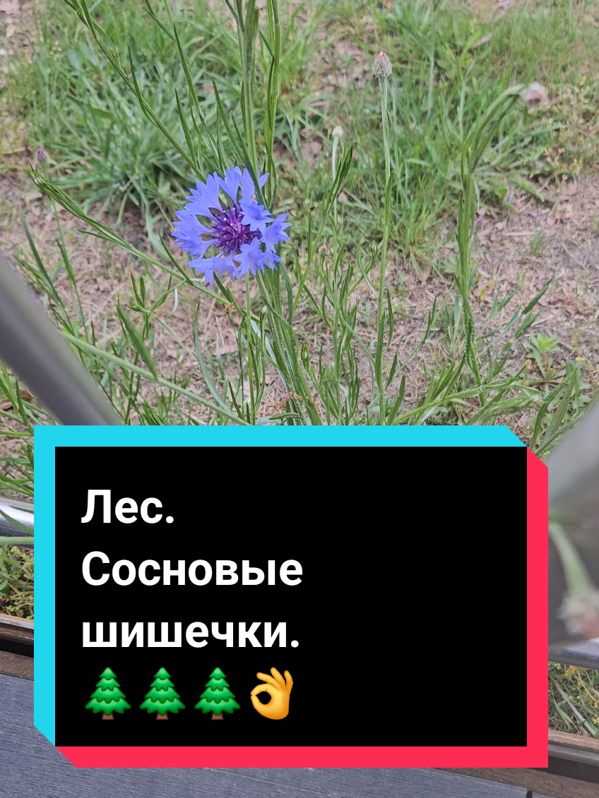 @МВ💥💥💥💥💥💌💥💥💥💥💥